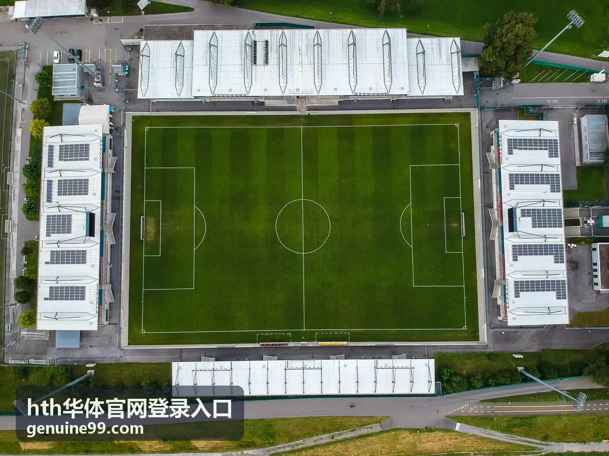 hth华体官网登录入口反馈材料准备