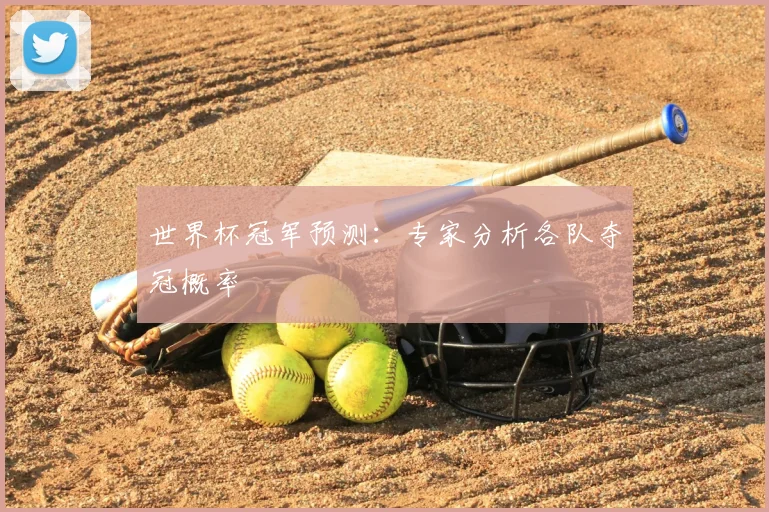 世界杯冠军预测:专家分析各队夺冠概率