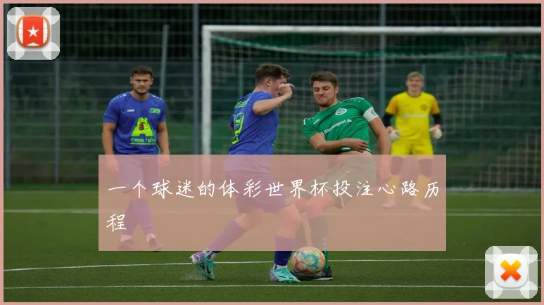 一个球迷的体彩世界杯投注心路历程