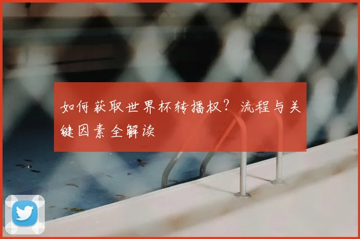 如何获取世界杯转播权?流程与关键因素全解读