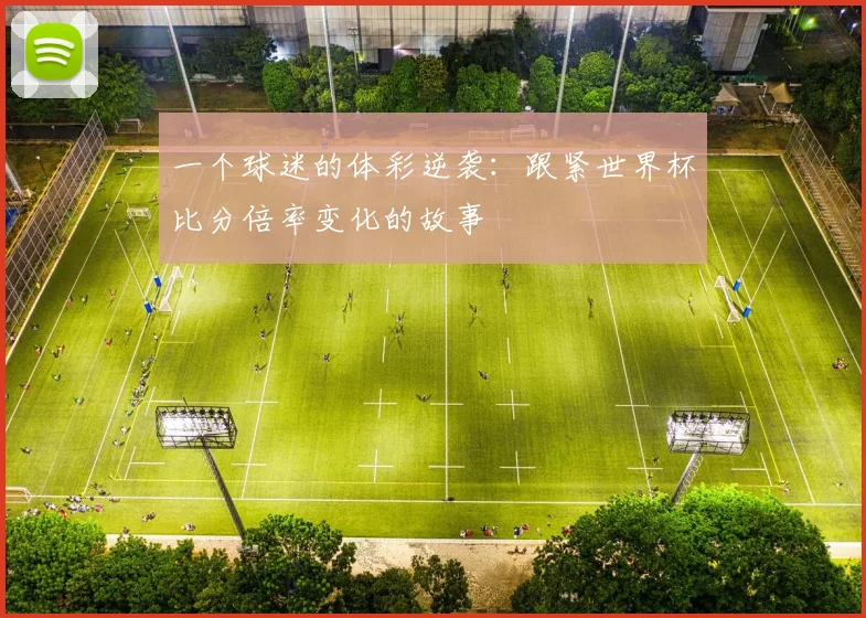 一个球迷的体彩逆袭：跟紧世界杯比分倍率变化的故事
