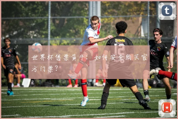 世界杯售票黄牛：如何安全购买官方门票？