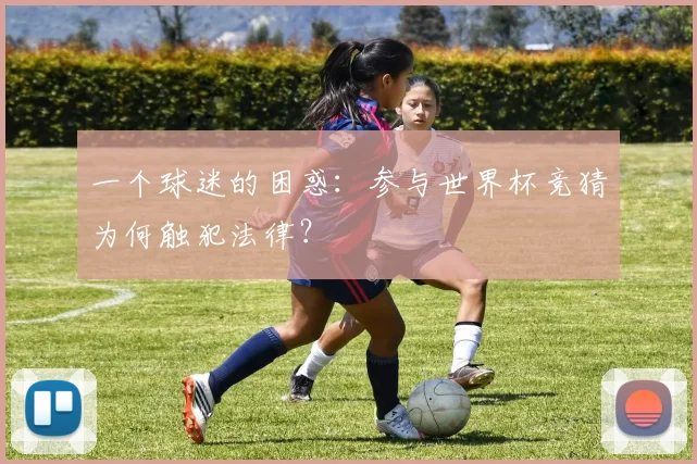 一个球迷的困惑:参与世界杯竞猜为何触犯法律?