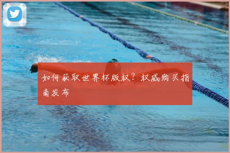 如何获取世界杯版权?权威购买指南发布