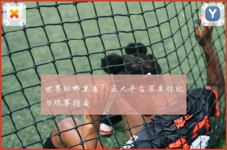 世界杯哪里看？五大平台深度对比与观赛指南