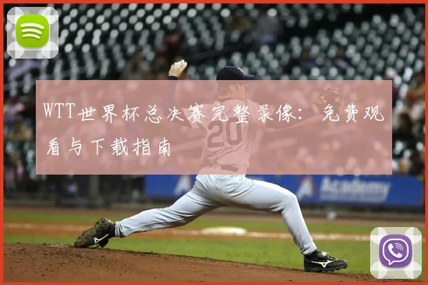 WTT世界杯总决赛完整录像:免费观看与下载指南