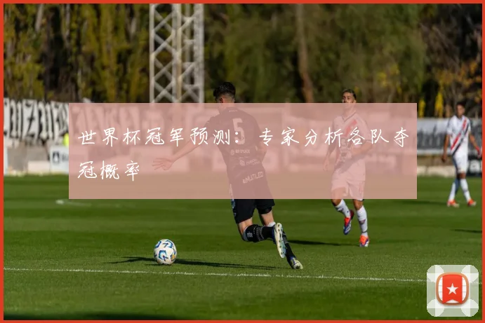 世界杯冠军预测：专家分析各队夺冠概率
