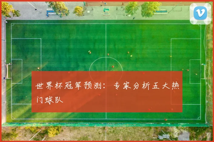 世界杯冠军预测:专家分析五大热门球队