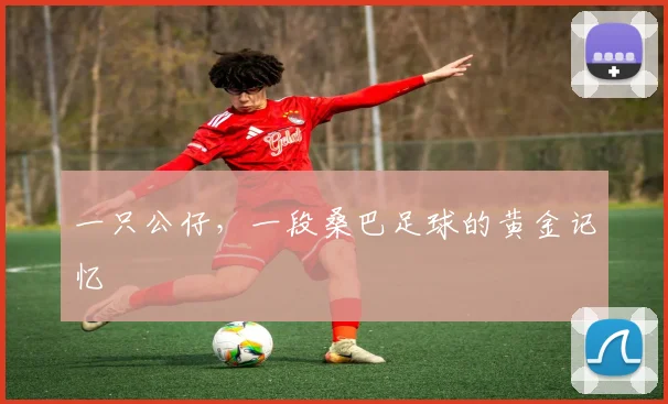 一只公仔,一段桑巴足球的黄金记忆