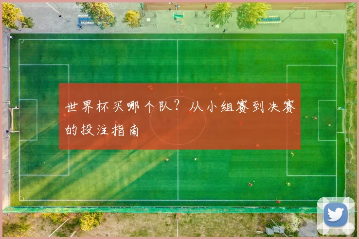 世界杯买哪个队？从小组赛到决赛的投注指南