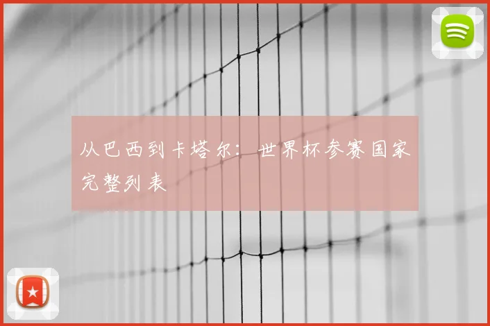 从巴西到卡塔尔:世界杯参赛国家完整列表