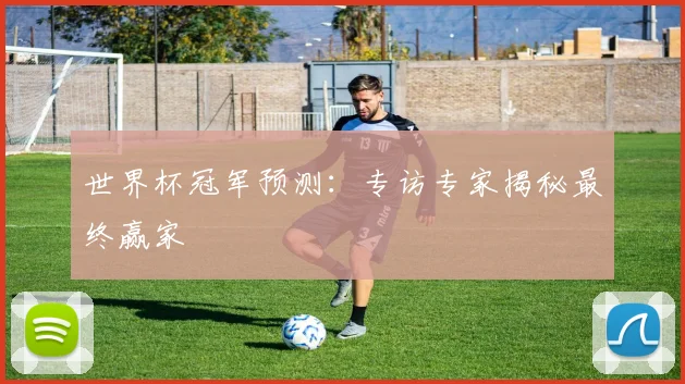 世界杯冠军预测：专访专家揭秘最终赢家