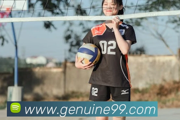 mksports官方网站平台生态图